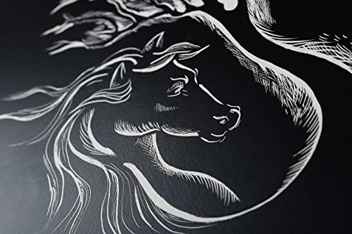 Clairefontaine 96801C 5 Bögen Schabekarton 50x65cm 520g Schwarz