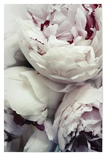 artboxONE Poster 30x20 cm Prints & Kunstdrucke Natur Pfingstrosen - Bild pfingstrosen Blumen floral