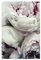 artboxONE Poster 30x20 cm Prints & Kunstdrucke Natur Pfingstrosen - Bild pfingstrosen Blumen floral
