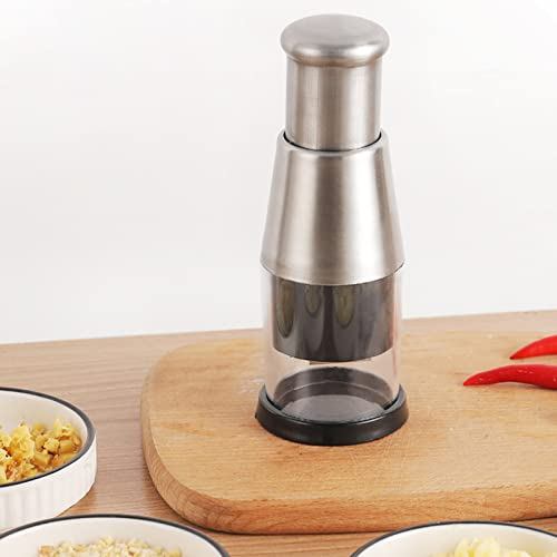 Knoblauchschneider, 304 Edelstahl Knoblauchpresse Knoblauchschneider Garlic Press, Knoblauch Crusher Praktischer Küchenhelfer Geeignet zum Hacken von Knoblauch, Schneiden von Paprika und Zwiebeln