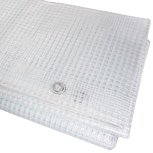 Lona Transparente de 2 x 3 m, Impermeable, Malla Transparente de 100 g/m², con Ojales, lámina Protectora, Cubierta para Coche, Lona Multiusos