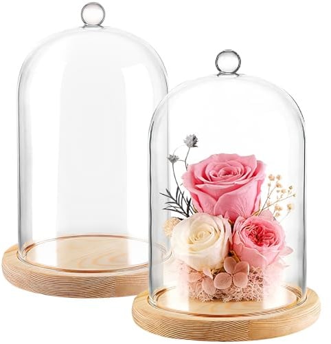 AKOLAFE 2 Stück Glasglocke mit Holzboden und Griff 18cm Hoch Glaskuppel Deko 12cm Durchmesser Glashaube Glasglocke Transparent Glasglocke Deko für Puppen, Kerzen, Sammlerstücke