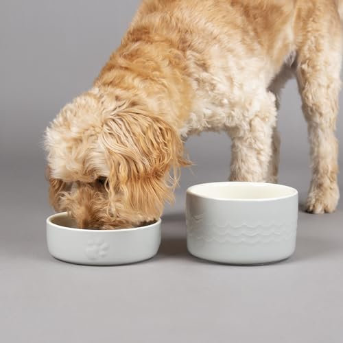 Scruffs Icon 2 Piece Set Pet Food & Water Bowl Set - Light Grey
