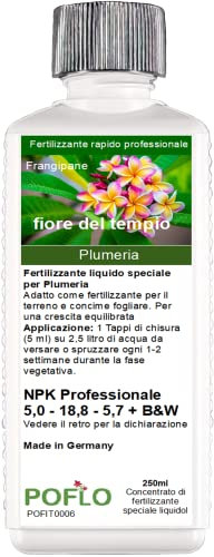 POFLO Fertilizzante Frangipane Fertilizzante Plumeria Albero del Tempio (250 ml)