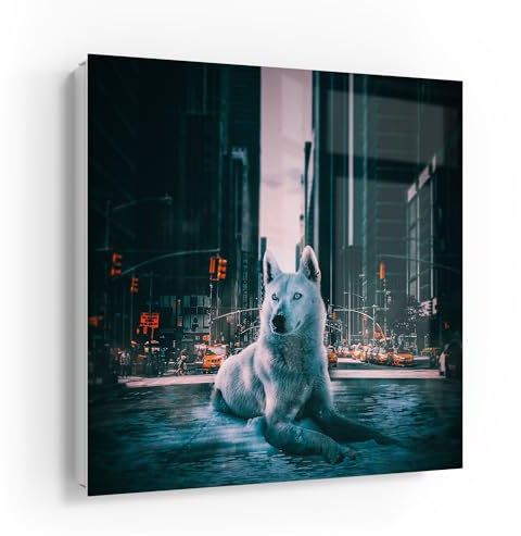 DEQOART Schlüsselkasten weiß | 30x30 cm | Motiv Urbane Wolfsruh | Glas & Metall Schlüssel-Box | Schlüsselschrank mit 50 Haken + 2 Magnete | Moderne Design Box magnetisch & beschreibbar
