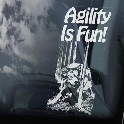 Madcolitote Border Collie Dog on Board Auto-Fensteraufkleber, Agility is Fun!, Vinyl-Aufkleber, gestanzt, lustig, für Stoßstange, Geschenk