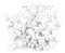 Spring Clamp Terminal, 100pcs Quick Terminal 10A 220V 2 Pin Push Quick Wire Cable Connector White Wiring Terminal