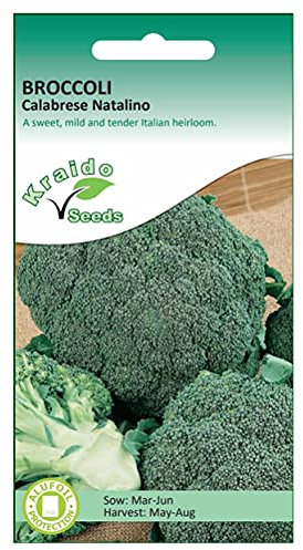 Vegetable Seeds (Broccoli Calabrese Natalino)