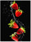 wandmotiv24 Leinwandbild Obst & Gemüse, Hochformat, Erdbeeren & Wasser M0380