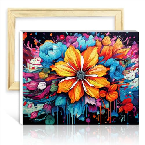 TANGFEIY Peinture sur toile coquelicots DIY Peinture à l'huile par numéro Kit adultes avec pinceaux et pigment acrylique Style peint pour décoration intérieure Sans cadre (30x40cm)