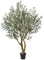 VeriNatural Olivier Artificiel 180 cm Plante Artificiell- Fausse Plante Grande avec Feuilles en Soie, Résistante aux UV - Décoration Intérieur Extérieur pour Maison, Jardin, Salon, Balcon, VN138
