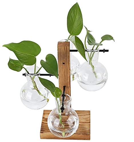 SEAFRONT 4 Bulb Glass Vase Flower Vase, Solid Wood Stand, Modern & Elegant Desktop Plant Terrarium for Home Office Decoration, Transparent, Wooden Stand with 4 Beaker Glass
