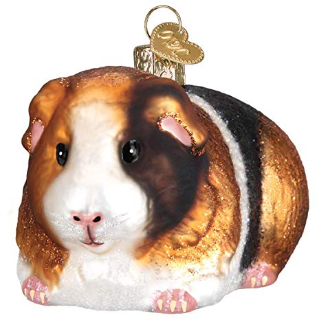 Old World Christmas Guinea Pig Glass Ornament Free Box 12542 New