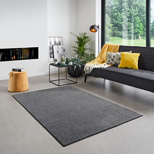 Carpet Studio Maine Teppich Anthrazit, Wohnzimmer 160x230 cm, Kurzflor, Schlafzimmer