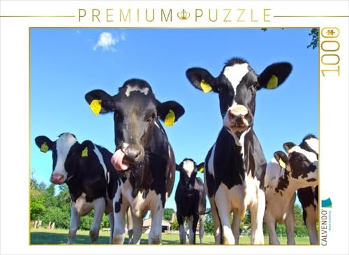 CALVENDO Puzzle Junge Rinder auf der Weide | 1000 Teile Lege-Größe 64 x 48 cm Foto-Puzzle für glückliche Stunden