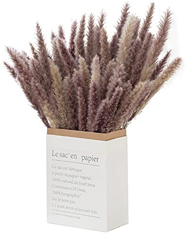 30x Getrocknetes Pampasgras Baun extra fluffig echte Trockenblumen in umweltfreundlicher Geschenkverpackung, Länge:42-43cm