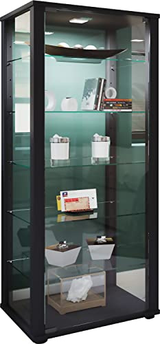 VCM Holz Glas Vitrine Sammelvitrine Glasvitrine Schaukasten Standvitrine Kavisa L Schwarz