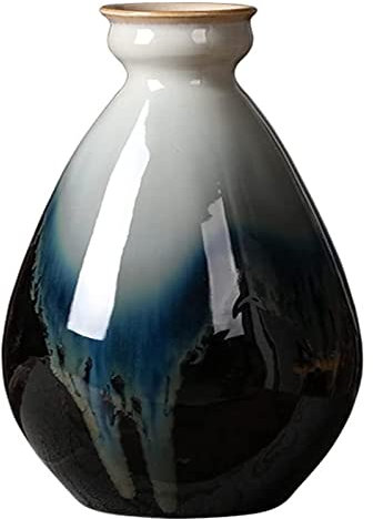 DITUDO Skulptur Vase HH-CC Vase Vase Ornamente Keramik Blumen Heimdekoration Handwerk