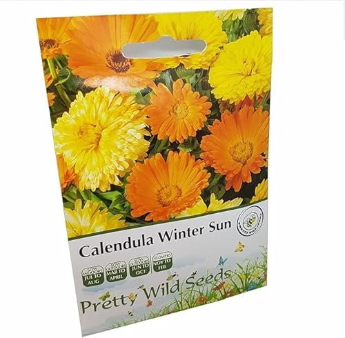 Calendula Winter Sun Seeds in Pictorial Packet from UK Seller