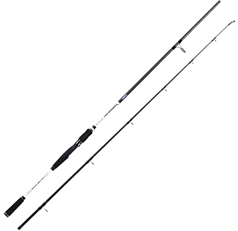 JENZI XPERANZA Hecht 30-90 g 2,70 m