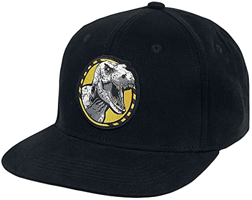 Difuzed Jurassic Park Cap Männer Cap schwarz 100% Baumwolle Fan-Merch, Filme