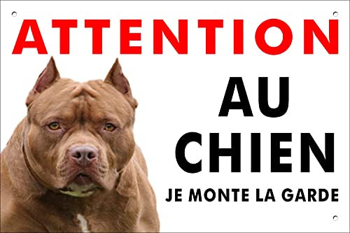 Pubblimania Pitbull Panneau signalétique pour chien en aluminium rigide, d’une épaisseur de 3 mm (20 x 30 cm)