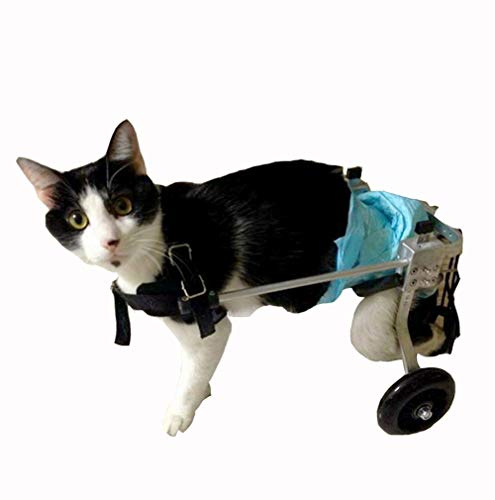 Hunderollstuhl, Rollstuhl, Verstellbarer Full-Support-Wagen, für behinderte Katzen Lähmtes Kaninchen, für behinderte Haustiere (XX)