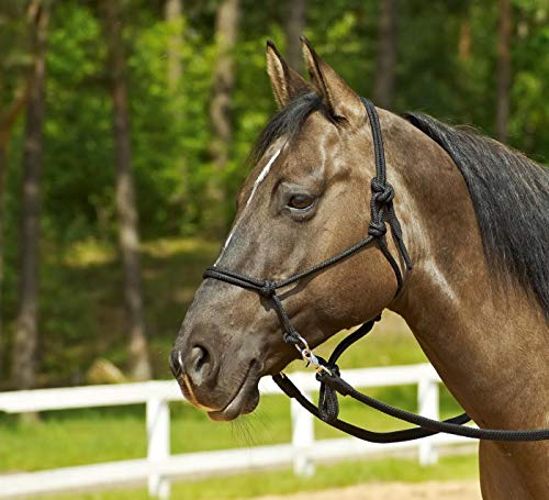WILDHORN Knotenhalfter Ringe, WB/KB, schwarz