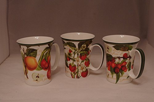 Fine China Tea Coffee Mug Set Of 3 Fruit Garden Design lp301