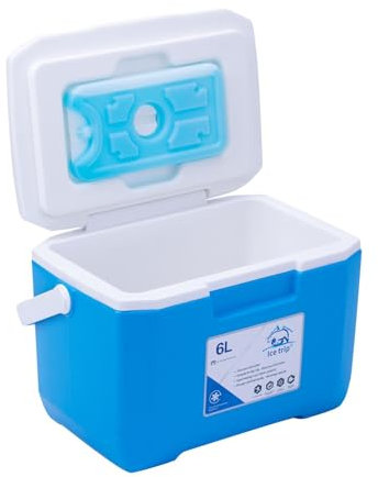 Cool Box- Insulated Cool Box - min i cooler box Small Cooler Boxes 6 L Insulation Picnic Box -Outdoor Cooler Box-for Food And Drinks -Lightweight Cooler-Performance Cooler for Picnics