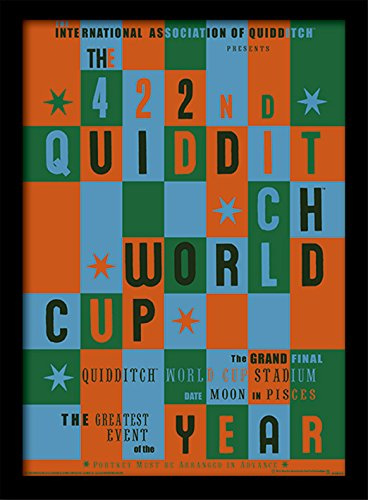 Harry Potter FP10617P-PL Quidditch World Cup Framed Print, 30 x 40 cm