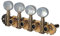 Gewa 545580GEWA machine heads Mandolin Gold-plated finish, marbled acrylic buttons