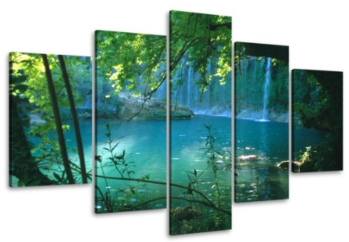Visario Bild auf Leinwand 100 cm Nr 6408 Wasserfall fertig gerahmte Bilder 5 Teile Marke original Leinwandbilder