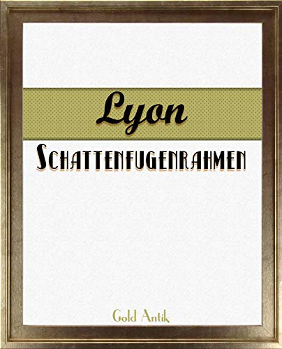 Homedeco-24 Lyon Schattenfugenrahmen 50x70 cm in Gold Antik ohne Verglasung ideal für Canvas Leinwand Bilder Farbwahl