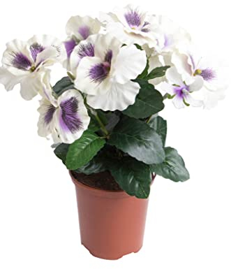 Botanic-Haus künstlicher Stiefmütterchenbusch (künstliches Stiefmütterchen) im braunen Kunststofftopftopf (Creme-lila)