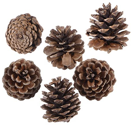 FUNOMOCYA 6stücke Weihnachtsbaum Dekoration Holz-pinienzapfen Mit Aufhängung Rustikale Christbaum Ornamente Für Festliche Deko Für Zuhause Büro Und Geschäfte