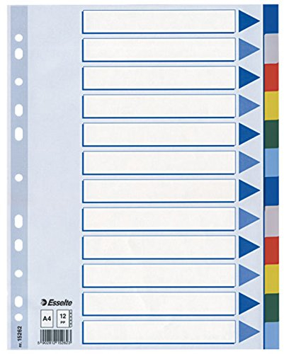 LEITZ Plastikregister (1-12), blanko | 3er Bundle Sparpaket | A4 , Universallochung | Beschriftbares Deckblatt