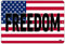 Rogue River Taktisches amerikanisches Patriotisches Blechschild Wanddeko Man Cave Bar USA Flagge Freiheit