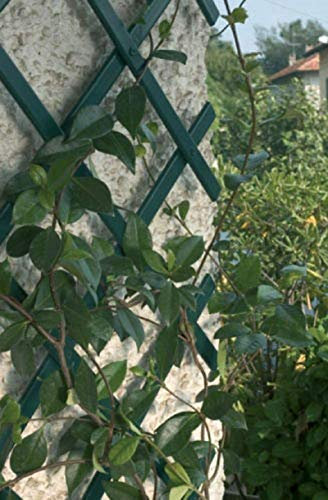 1 X Green Expanding Plastic Garden Trellis 1.5M / 150CM X 40CM
