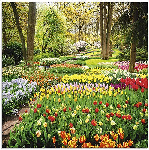 ARTland Wanddeko Glasbilder Wandbild Glas Bild einteilig 50x50 cm Quadratisch Blumenwiese Tulpen Blumen Frühling Natur Garten Wald Bunt U1RC