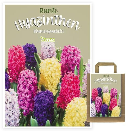 Blumenzwiebeln in Geschenkverpackung - Zwiebeln, Knollen verschiedener winterharter Pflanzen für Garten und Balkon - bunt, mehrjährig, für Topf und Beet (20 St. Hyazinthen Mix)