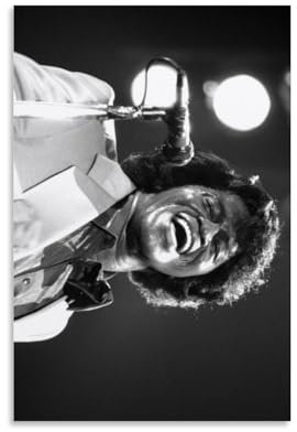 James Brown Poster, dekoratives Gemälde, Leinwand, Wandposter und Kunstdruck, modernes Familienschlafzimmer-Dekor-Poster, 20 x 30 cm
