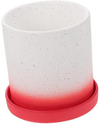 OFFSCH Maceta Decorativa De Cerámica para Suculentas De Duradera y Decorativa