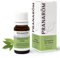 Pranarôm Huile Essentielle Cannelier de Chine Cinnamomum cassia Rameau Feuillé HECT 10 ml
