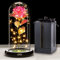 Geschenke Für Frauen, Galaxy Rose Blume Geschenk zum Muttertag, Infinity Rose in Glaskuppel, LED-Lichterkette auf der Kristallrose, Geschenk für Frauen,Hochzeit,Muttertag,Jahrestag und Geburtstag