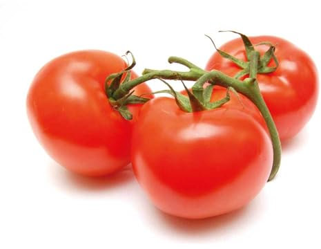 Tomatera Planta Natural de Exterior - Planta de Huerto para Cultivar Tomates