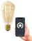 CALEX Smart LED Lampe, E27, ST64, Gold Filament, warmweißes Licht, dimmbar, WLAN App- & Sprachsteuerung, 2er Pack