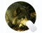 Yanteng Rectangle Round Mouse Pad,Animal wolf thigh Rubber Large Round Mouse Pad Mat