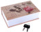 Safe für Umgehungsbuch, Wörterbuch geheim Bargeld Safe Box Bible Safe Storage Box mit Sicherheitsschlüssel (Rosa Diary Type)