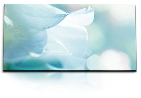 Paul Sinus Kunstdruck Bilder 120x60cm Weiße Blüte Blume Hell Hellblau Makrofotografie